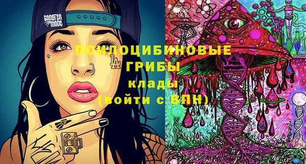 винт Армянск